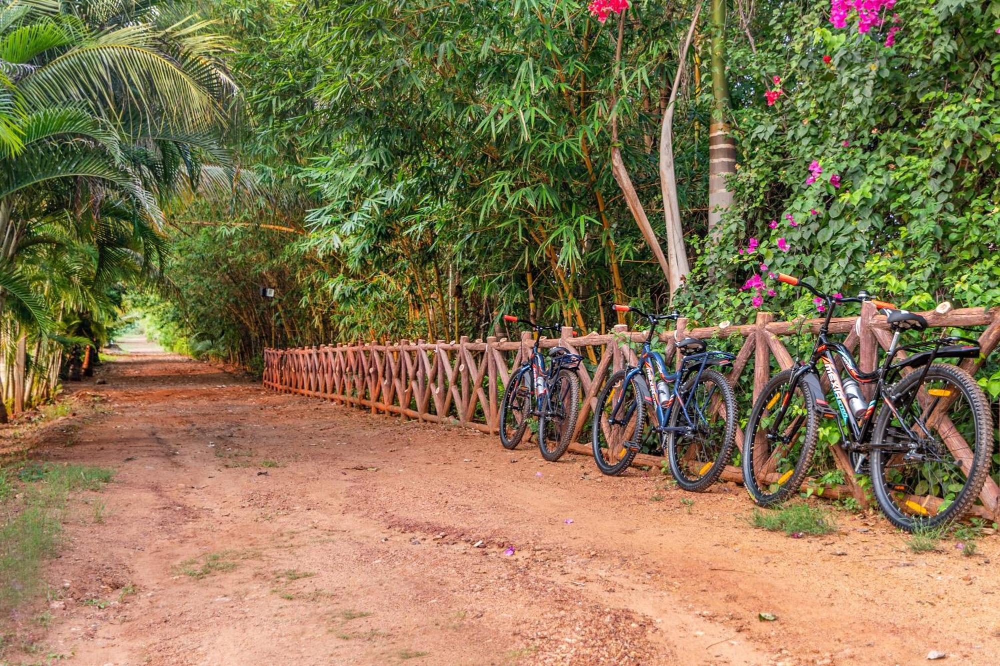 Hotel Sterling Banashree Badami Exterior foto